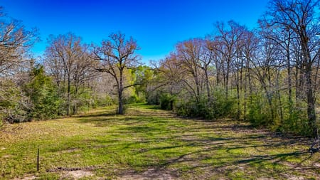 Madisonville, TX 77864 Madison County