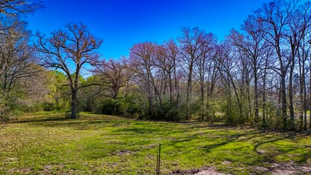 Madisonville, TX 77864 Madison County