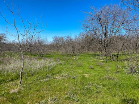 Joshua, TX 76058 Johnson County