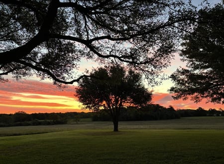 Brenham, TX 77833 Washington County
