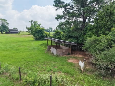 Hempstead, TX 77445 Waller County