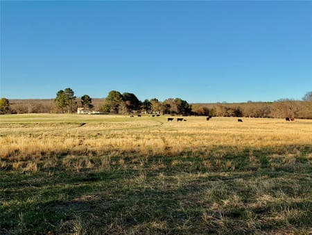 Vian, OK 74962 Sequoyah County