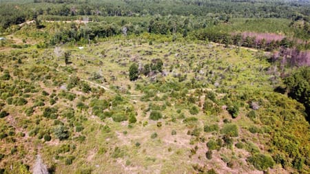 Cushing, TX 75964 Nacogdoches County