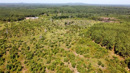 Cushing, TX 75964 Nacogdoches County