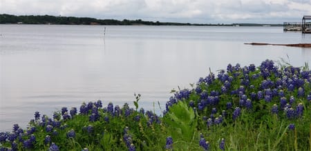 Nocona, TX 76255 Montague County