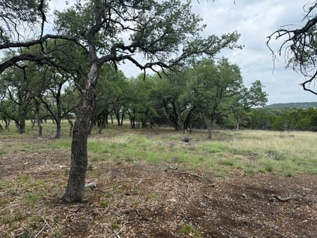 Lometa, TX 76853 Lampasas County