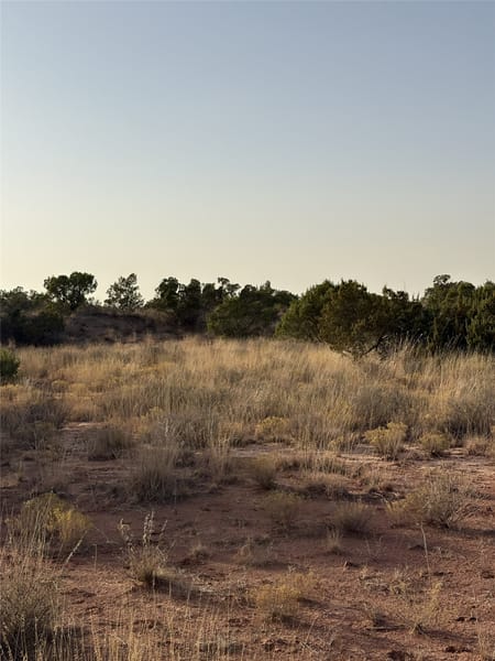 No City, TX 79227 Knox County