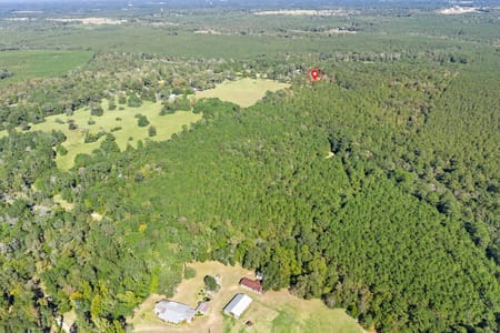 Woodville, TX 75979 Tyler County
