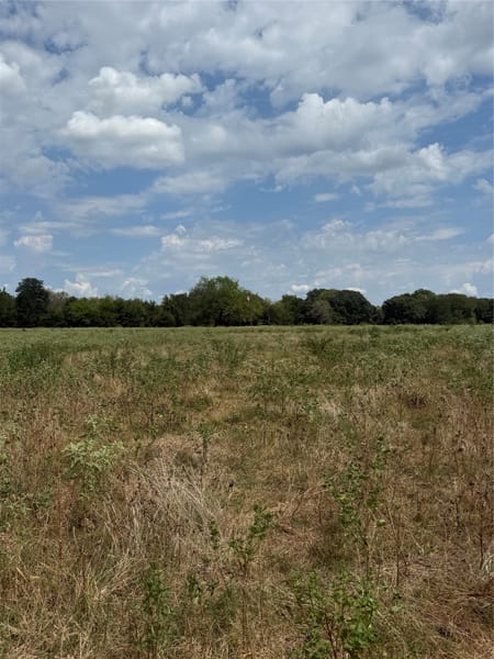 Wills Point, TX 75169 Van Zandt County