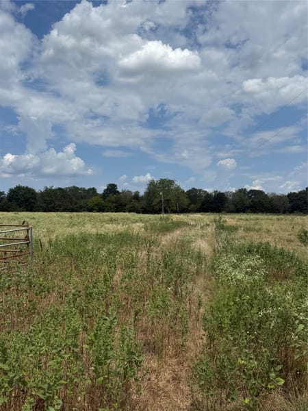 Wills Point, TX 75169 Van Zandt County