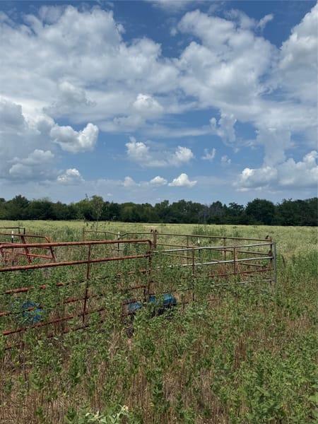Wills Point, TX 75169 Van Zandt County