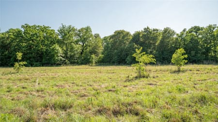 Cameron, TX 76520 Milam County