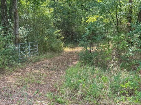 Longview, TX 75604 Gregg County
