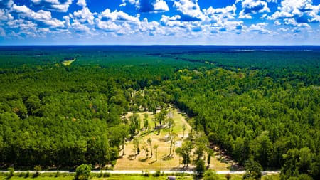 Groveton, TX 75845 Trinity County
