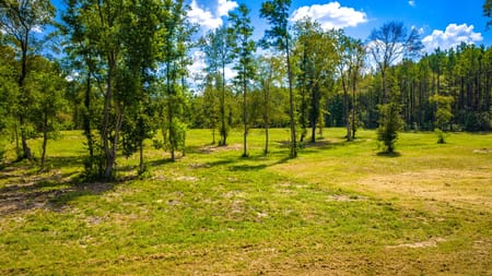 Groveton, TX 75845 Trinity County