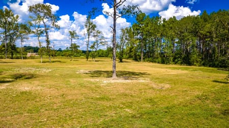 Groveton, TX 75845 Trinity County