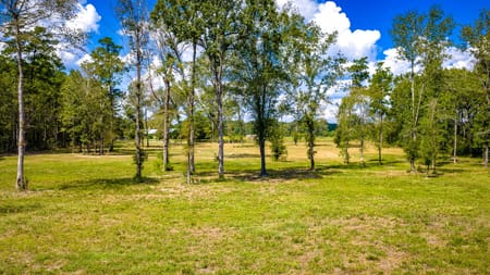 Groveton, TX 75845 Trinity County