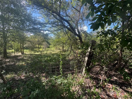 Brenham, TX 77880 Washington County