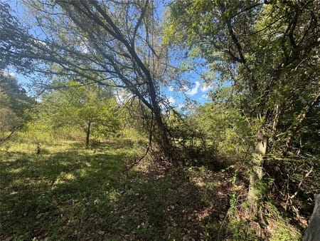 Brenham, TX 77880 Washington County