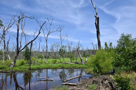 Boswell, OK 74727 Choctaw County