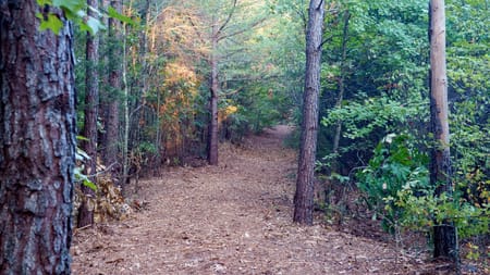 Tyler, TX 75708 Smith County