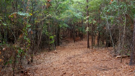 Tyler, TX 75708 Smith County