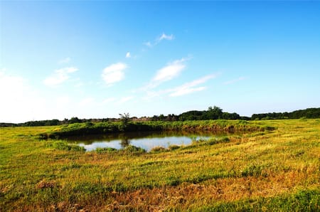 Pottsboro, TX 75076 Grayson County