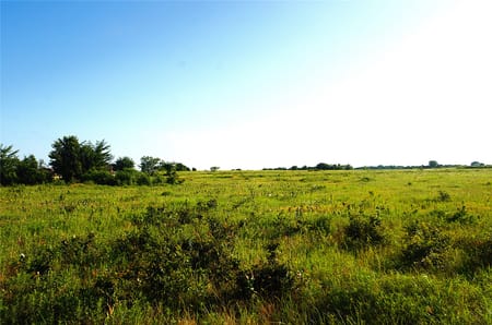 Pottsboro, TX 75076 Grayson County