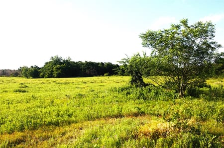 Pottsboro, TX 75076 Grayson County