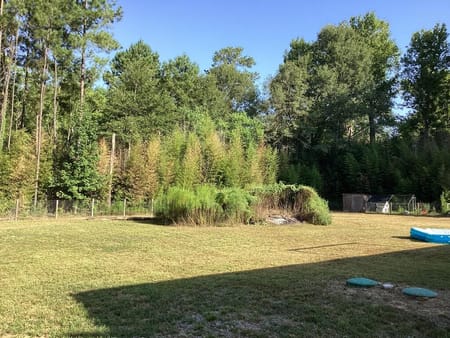 Kirbyville, TX 75956 Newton County