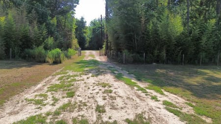 Kirbyville, TX 75956 Newton County