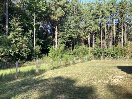 Kirbyville, TX 75956 Newton County