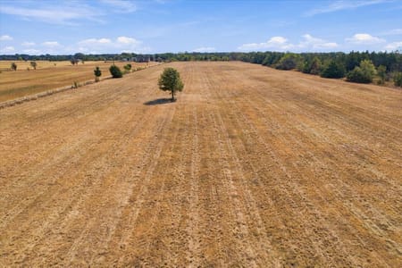 Ivanhoe, TX 75447 Fannin County