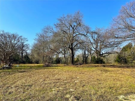 Jewett, TX 75846 Leon County