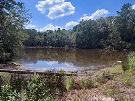 Grapeland, TX 75844 Anderson County