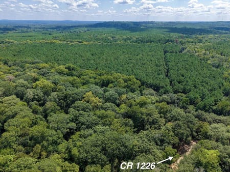 Grapeland, TX 75844 Anderson County
