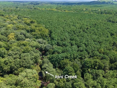 Grapeland, TX 75844 Anderson County