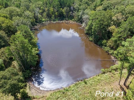 Grapeland, TX 75844 Anderson County