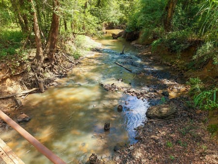 Grapeland, TX 75844 Anderson County