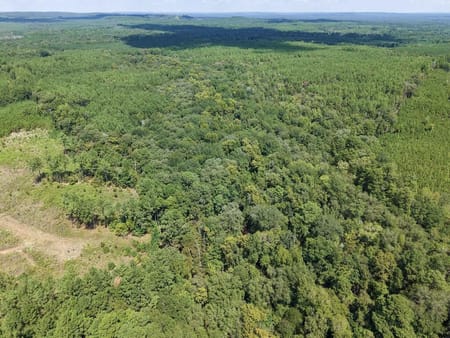 Grapeland, TX 75844 Anderson County