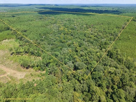 Grapeland, TX 75844 Anderson County