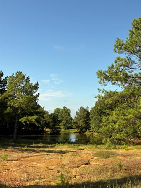 Woodlawn, TX 75670 Harrison County