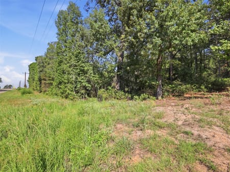 Mineola, TX 75783 Wood County