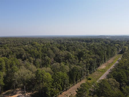 Mineola, TX 75783 Wood County