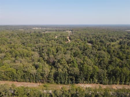 Mineola, TX 75783 Wood County