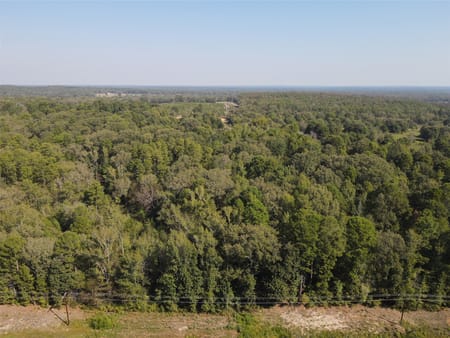 Mineola, TX 75783 Wood County