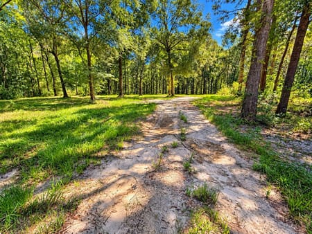 Saratoga, TX 77585 Hardin County