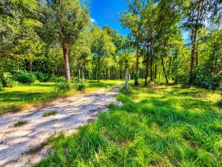 Saratoga, TX 77585 Hardin County