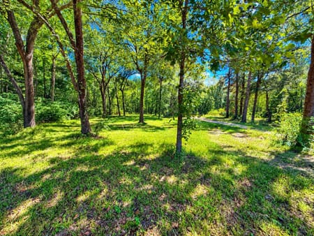 Saratoga, TX 77585 Hardin County