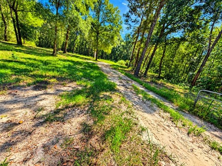 Saratoga, TX 77585 Hardin County